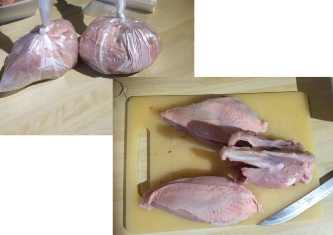Bag and freeze the breasts, don't worry about the last scraps of meat, pick them off after the stock is cooked. 